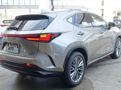 LEXUS NX - 10