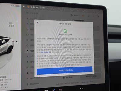 2022 Tesla MODEL Y 缩略图 36