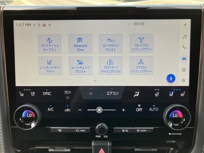 2025 Toyota ALPHARD 缩略图 29