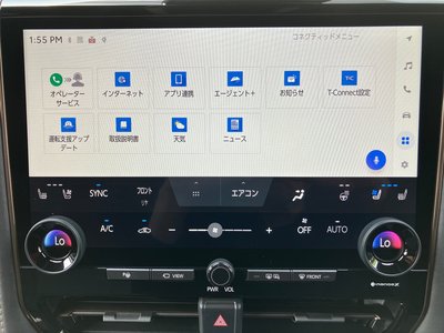 2025 Toyota ALPHARD 缩略图 30