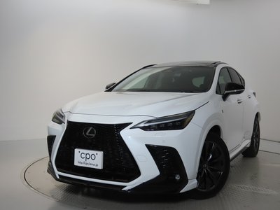 LEXUS NX - 6