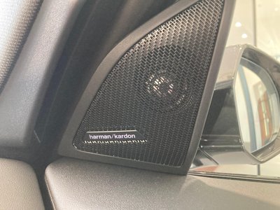 صورة مصغرة 49 لـ 2025 BMW X3