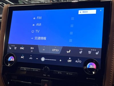 2024 Toyota VELLFIRE 缩略图 49