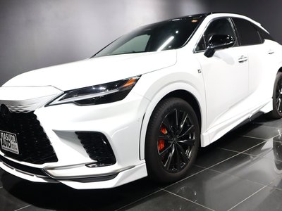 2025 Lexus RX 照片 1