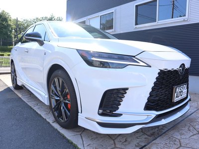 2025 Lexus RX 照片 3