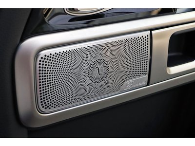 2020 Mercedes-BENZ G-CLASS 缩略图 59