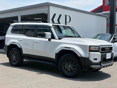 TOYOTA LAND CRUISER 250 - 10