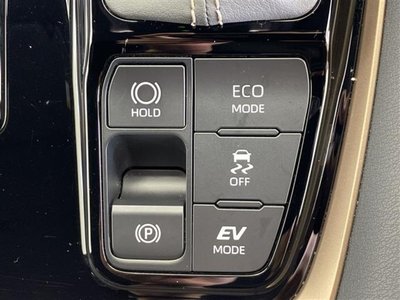 2025 TOYOTA ALPHARD thumbnail 20