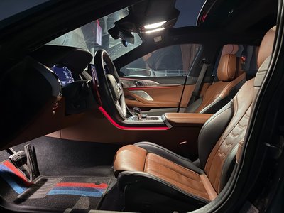 2020 BMW 8 SERIES 照片 8