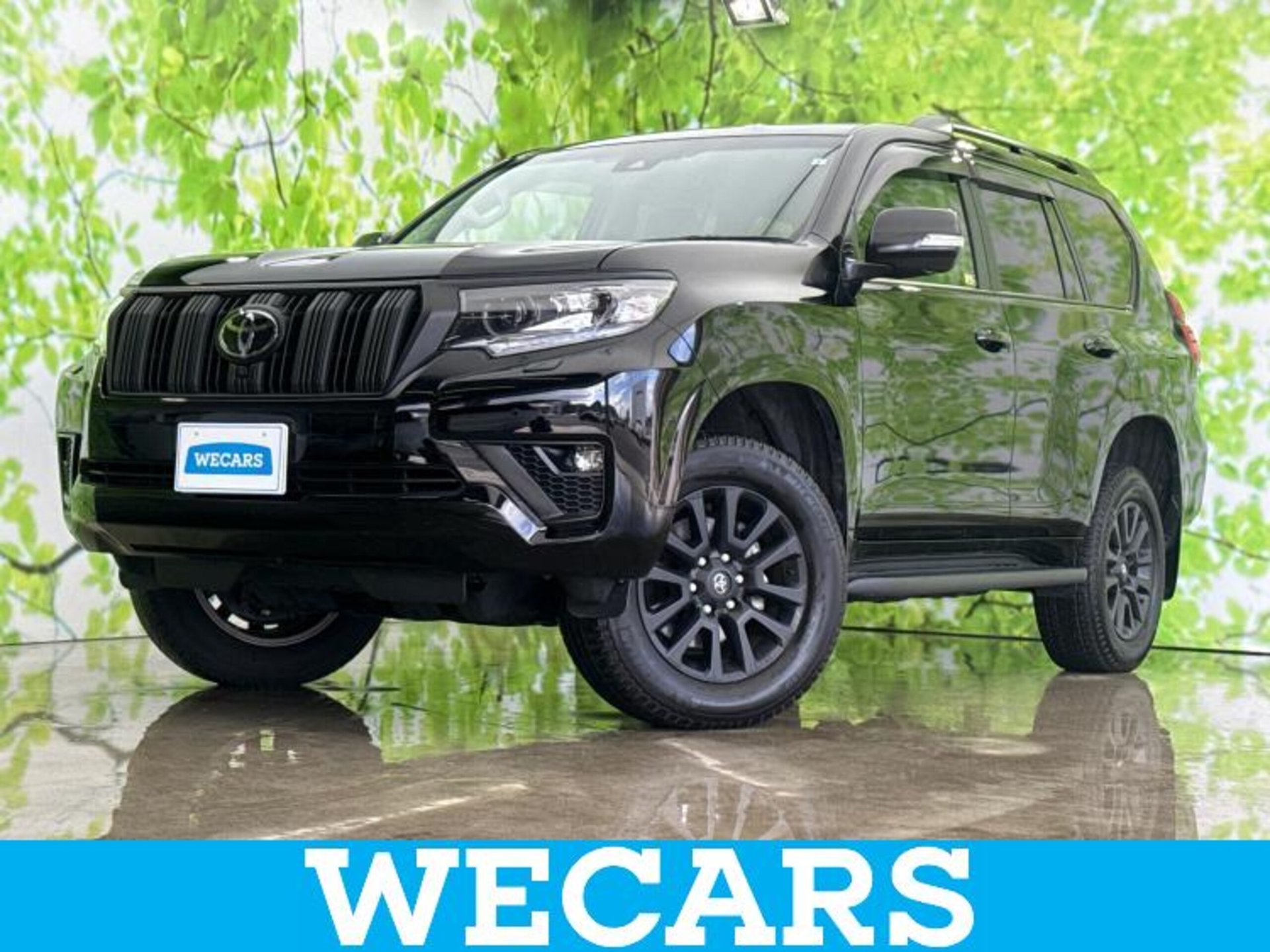 TOYOTA LAND CRUISER PRADO - View 1