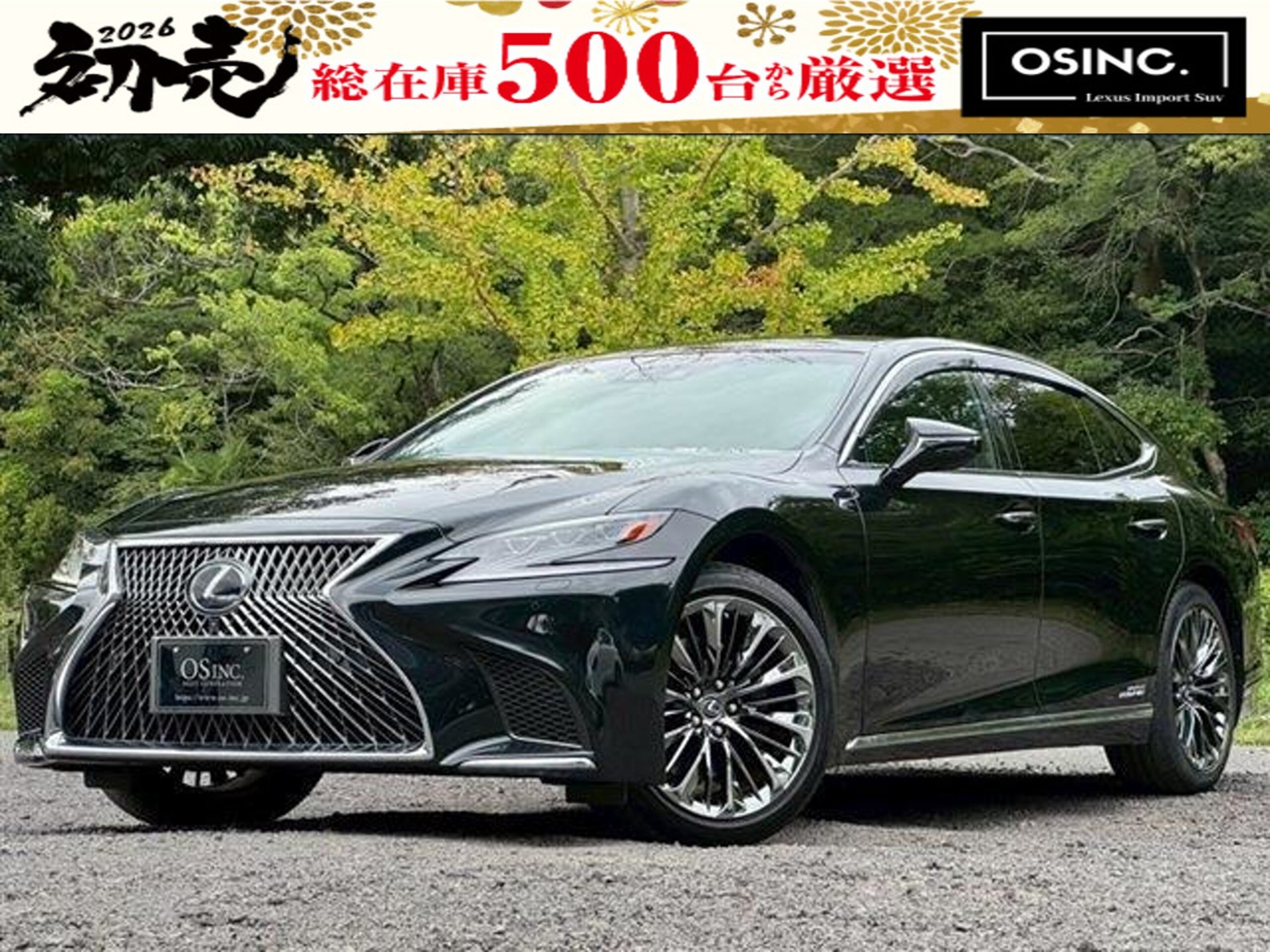 LEXUS LS - View 1