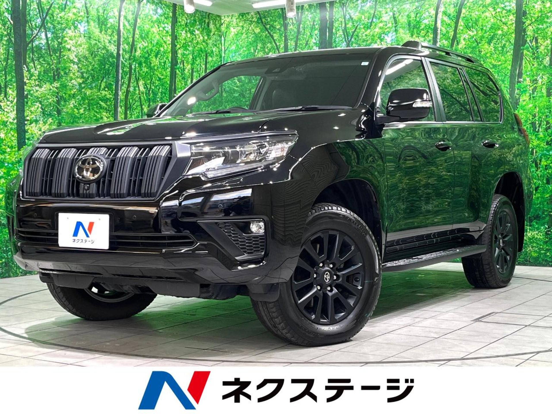 TOYOTA LAND CRUISER PRADO - View 1