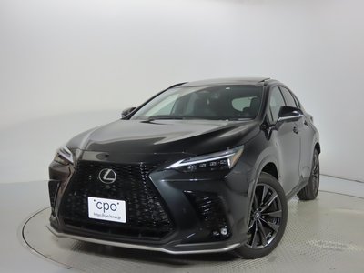 LEXUS NX - 6
