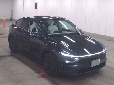 TESLA MODEL Y - 1