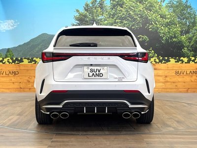 2024 Lexus NX — миниатюра 15