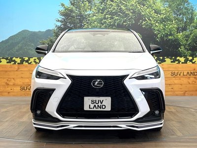 2024 Lexus NX — миниатюра 14