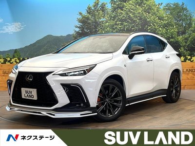 2024 Lexus NX 照片 1