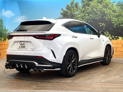2024 Lexus NX — миниатюра 17