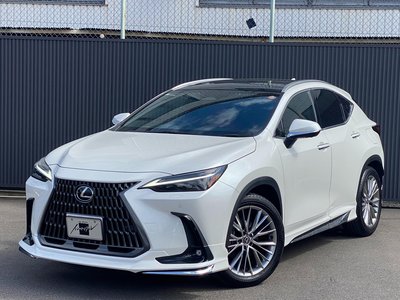 LEXUS NX - 2