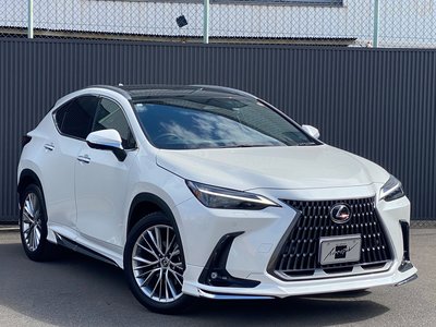 LEXUS NX - 6