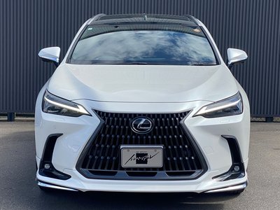 LEXUS NX - 4