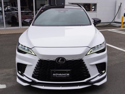 LEXUS RX - 4