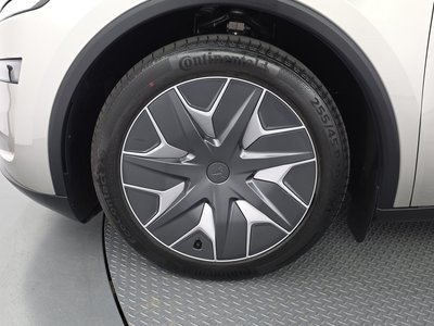 2026 Tesla MODEL Y 照片 6