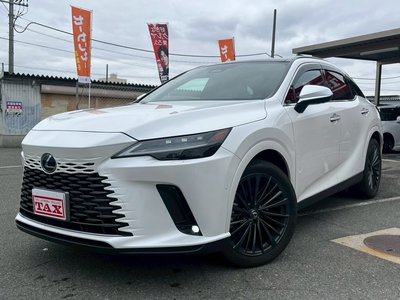 LEXUS RX - 1