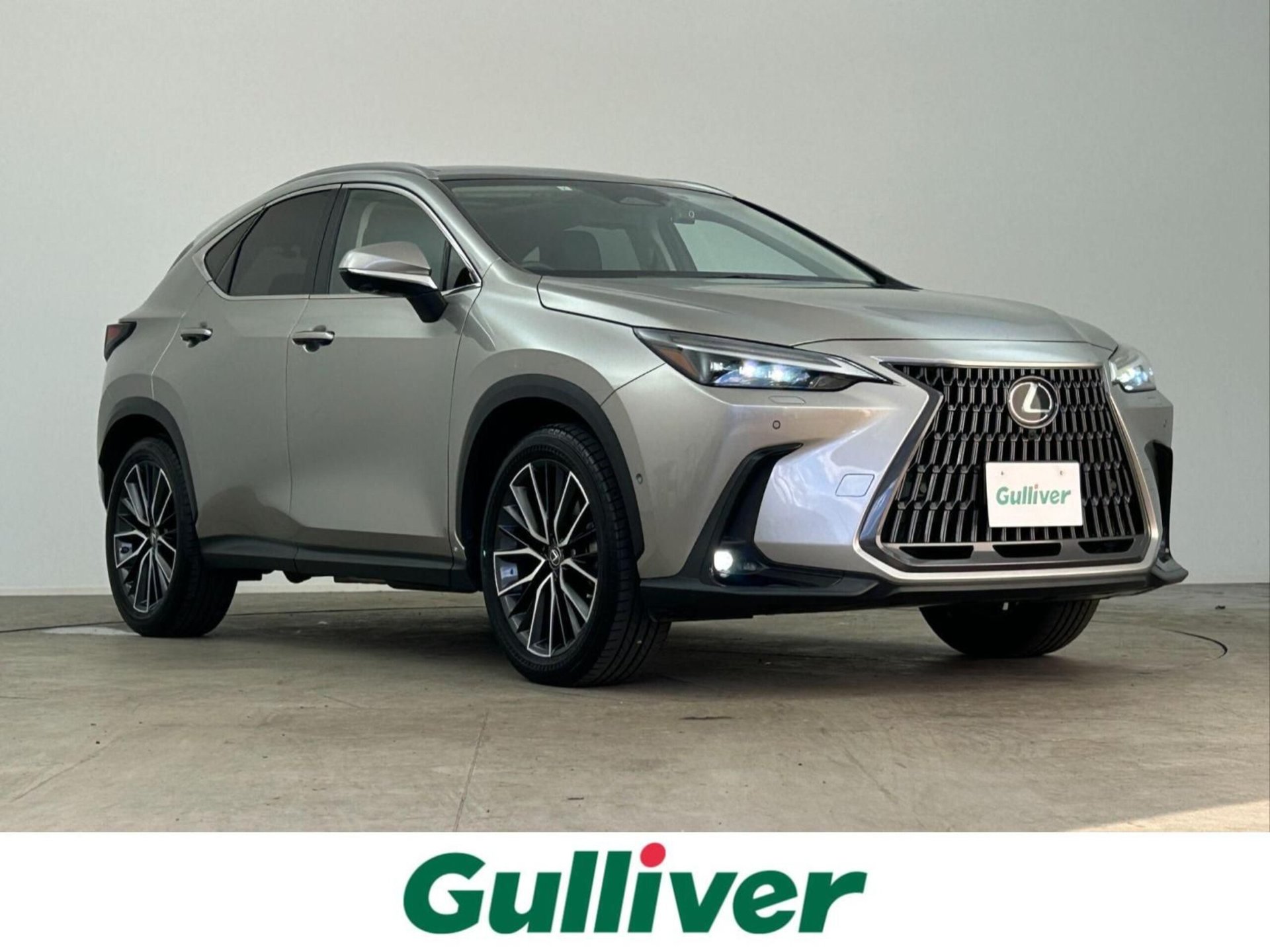 LEXUS NX - View 1