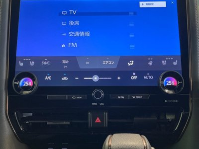 2025 Toyota ALPHARD — миниатюра 51