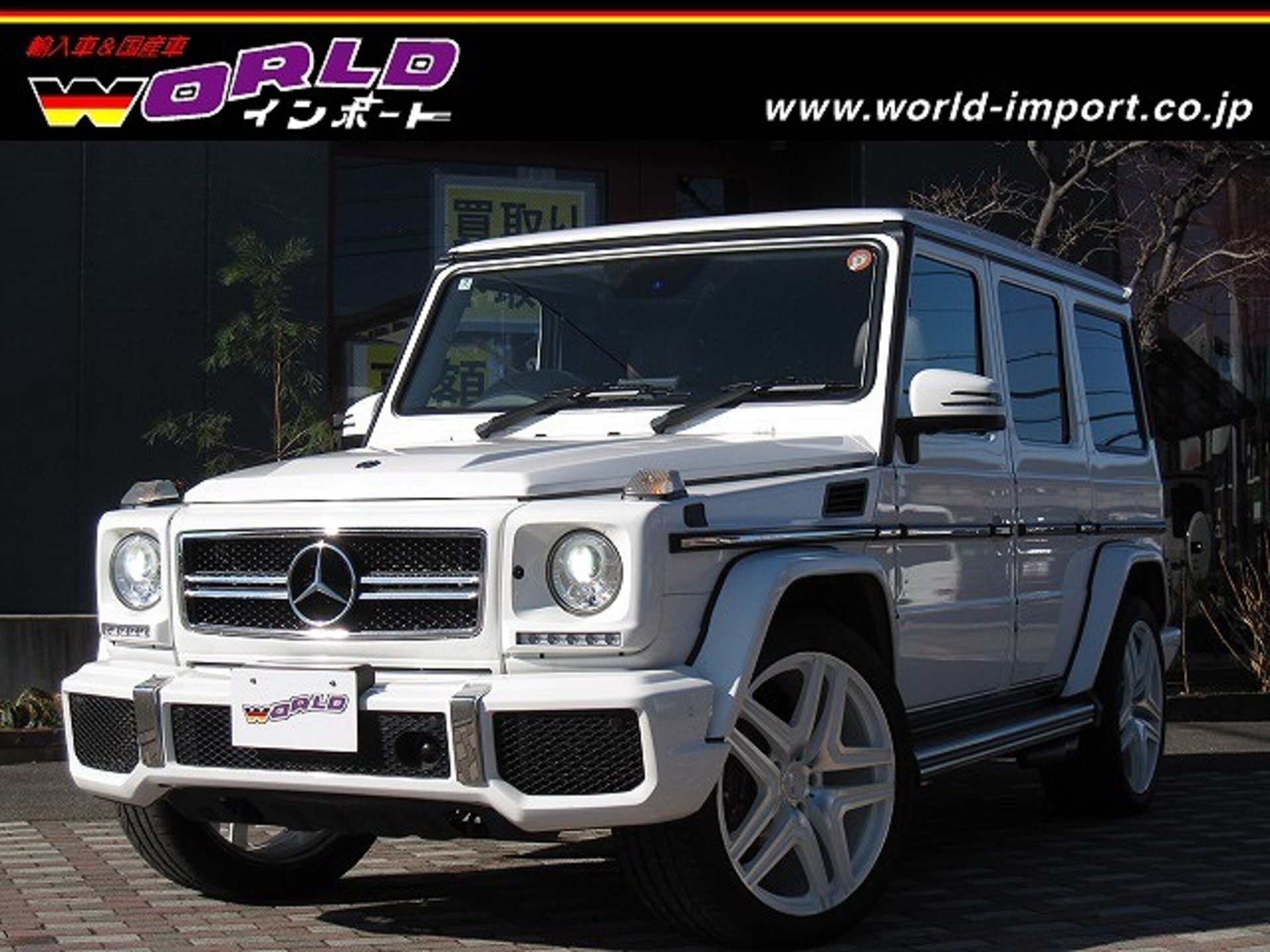 MERCEDES-BENZ G-CLASS - View 1