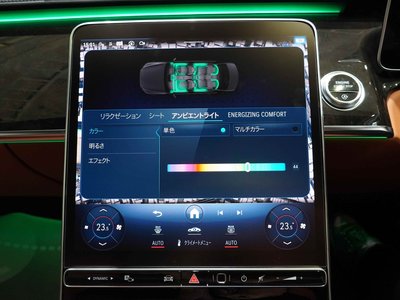2021 Mercedes-BENZ S-CLASS — миниатюра 24