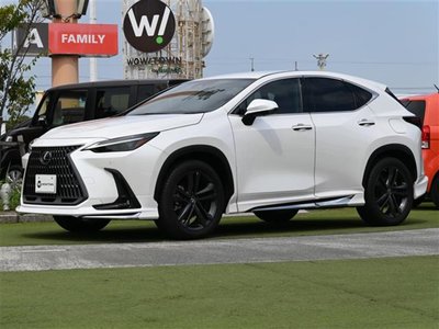 2022 Lexus NX 缩略图 33