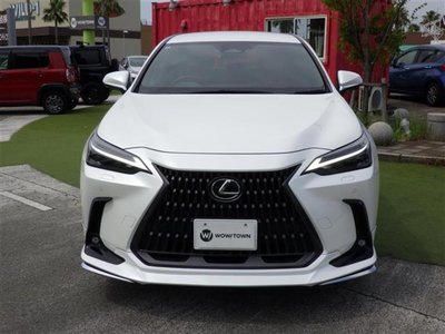 2022 Lexus NX 缩略图 34