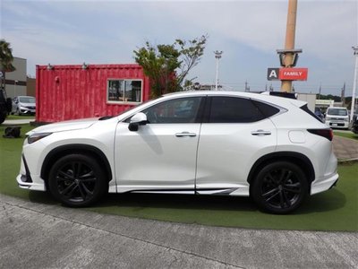 2022 Lexus NX 缩略图 35