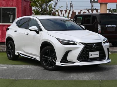 2022 Lexus NX 缩略图 32
