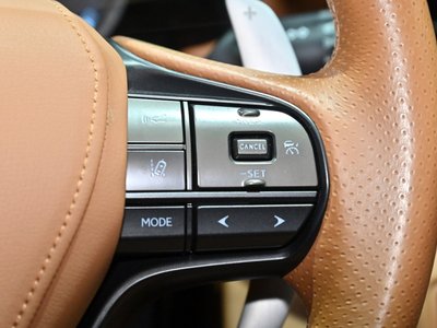 2019 Lexus LC 缩略图 25