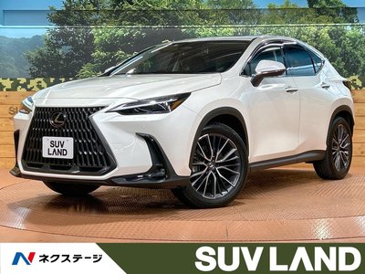 LEXUS NX - 1