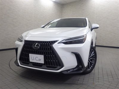 LEXUS NX - 8