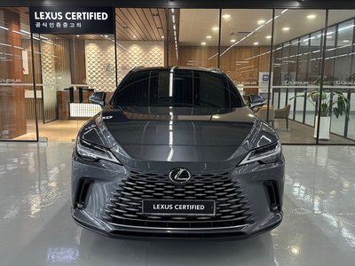 2024 Lexus RX 照片 2