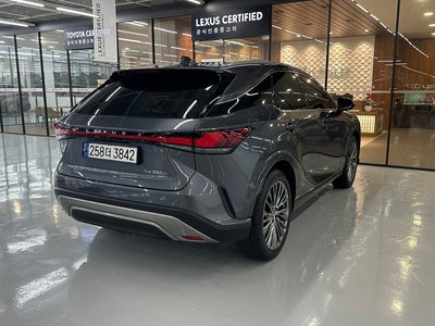 2024 Lexus RX 照片 5