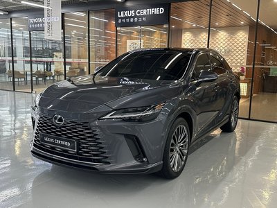 2024 Lexus RX 照片 1