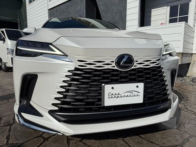 LEXUS RX - 10
