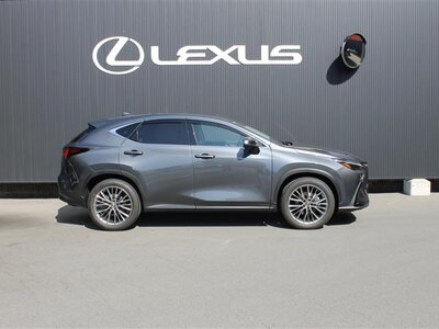 LEXUS NX - 4