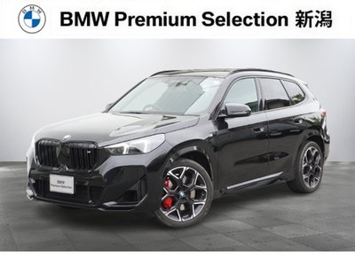 BMW X1 - 1