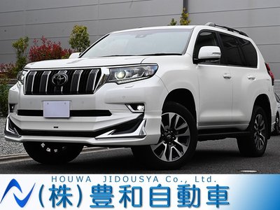 TOYOTA LAND CRUISER PRADO - 1