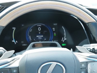 2023 Lexus RX 缩略图 53