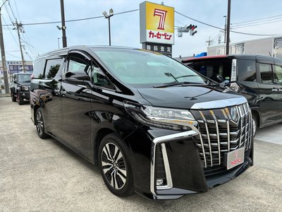 2019 TOYOTA ALPHARD 照片 1
