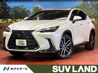 LEXUS NX - 1
