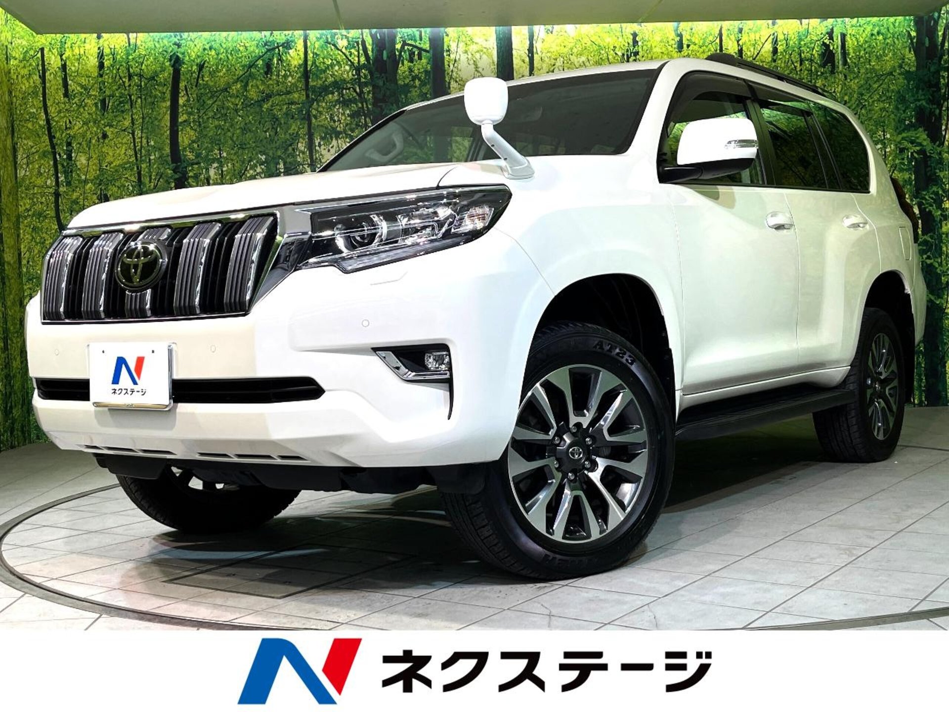 TOYOTA LAND CRUISER PRADO - View 1